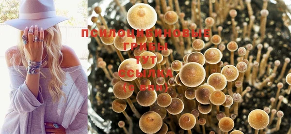 кокаин премиум Нефтекумск