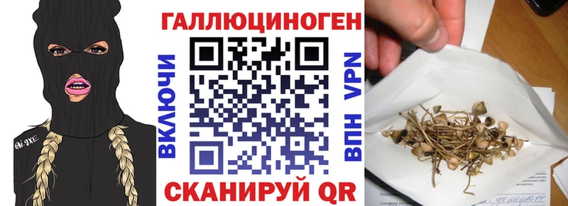 Псилоцибиновые грибы ЛСД  Питкяранта 